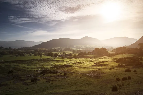 Beautiful Autumn Fall sunrise foggy landscape image over country — Stock Photo, Image