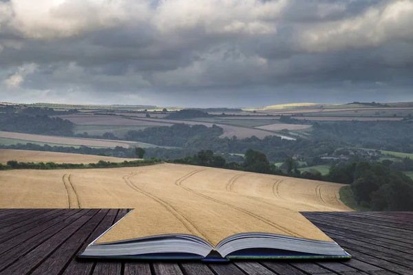Hermosa imagen de paisaje de enorme campo agrícola de cebada o —  Fotos de Stock