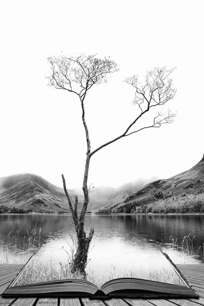 Striking black and white high key landscape image of Lake Butter — Stock Photo, Image