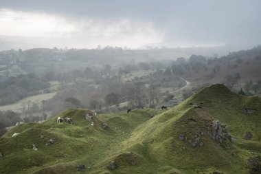 Terk edilmiş taş ocağı natur tarafından çekilen çarpıcı manzara görüntü