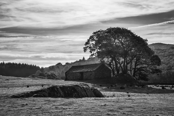 Stunning Autumn Fall black and white landscape image of wide cou — Stock Photo, Image