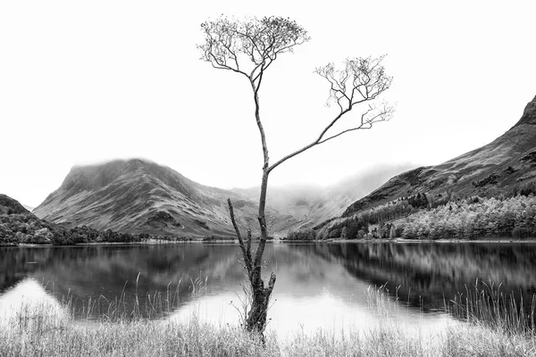 Uderzający obraz czarno-biały wysokiej kluczowych krajobraz jeziora masła — Zdjęcie stockowe