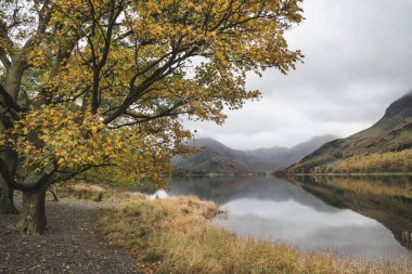 Lake Buttermere göl güzel sonbahar sonbahar manzara görüntüsü