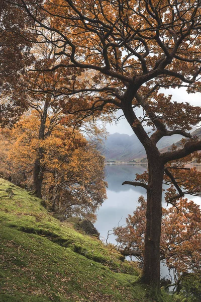 Piękny obraz krajobraz jesień jesień jezioro Buttermere w jeziorze — Zdjęcie stockowe