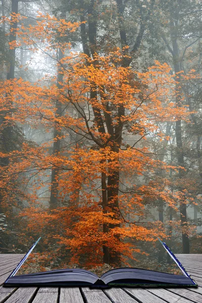 Прекрасний сюрреалістичний альтернативний колір фентезі Осінь осінній лісовий лан — стокове фото