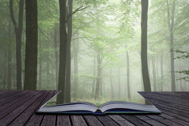 Yemyeşil yeşil peri masalı büyüme kavramı sisli orman manzara resim