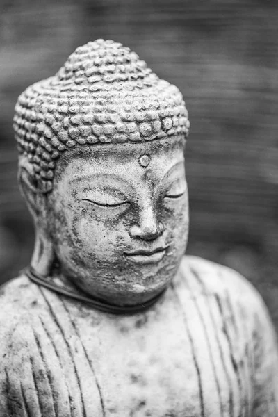 Prachtige Boeddha standbeeld portret met ondiepe scherptediepte voor — Stockfoto