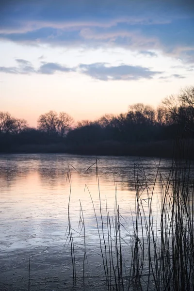 Impressionante colorido nascer do sol de inverno sobre juncos no lago em Cotswolds — Fotografia de Stock