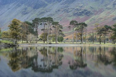 Stuning sonbahar sonbahar manzara görüntüsünü Lake Buttermere Gölü d