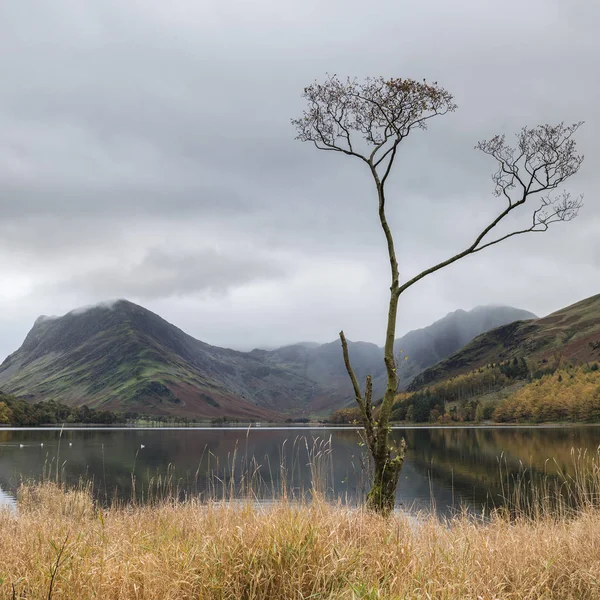 Aturdimiento Otoño Otoño Imagen del paisaje del lago Buttermere en el lago D — Foto de Stock