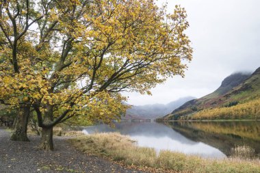 Stuning sonbahar sonbahar manzara görüntüsünü Lake Buttermere Gölü d