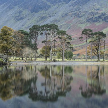 Stuning sonbahar sonbahar manzara görüntüsünü Lake Buttermere Gölü d
