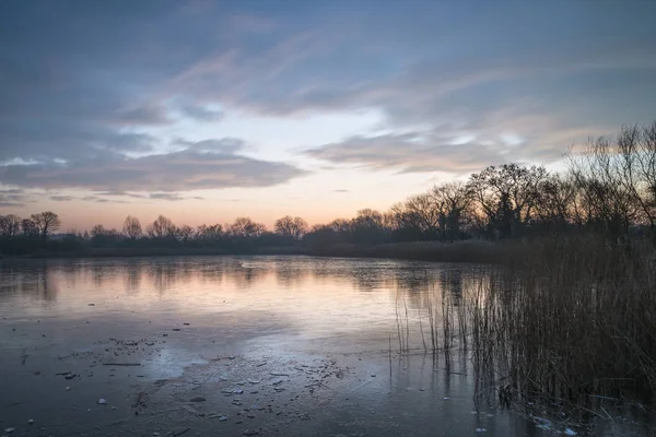 Impressionante colorido nascer do sol de inverno sobre juncos no lago em Cotswolds — Fotografia de Stock