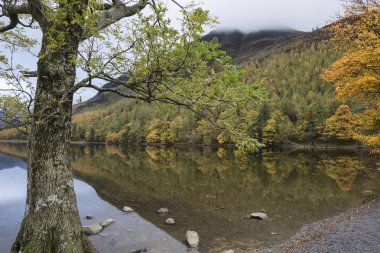 Stuning sonbahar sonbahar manzara görüntüsünü Lake Buttermere Gölü d