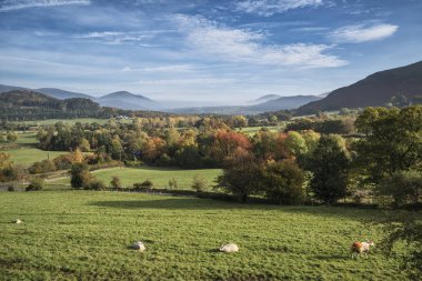 Çarpıcı turizm manzara resmini Göller Bölgesi sonbahar sırasında 