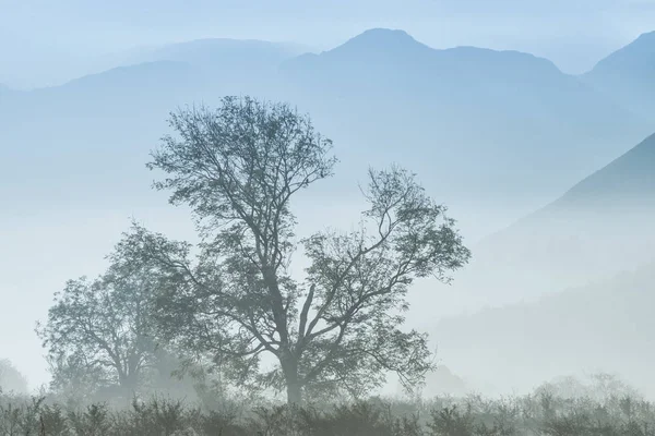 Stunning Winter foggy sunrise over countryside around Crummock W — Stock Photo, Image