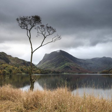 Stuning sonbahar sonbahar manzara görüntüsünü Lake Buttermere Gölü d