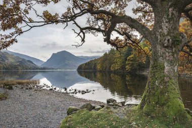 Stuning sonbahar sonbahar manzara görüntüsünü Lake Buttermere Gölü d