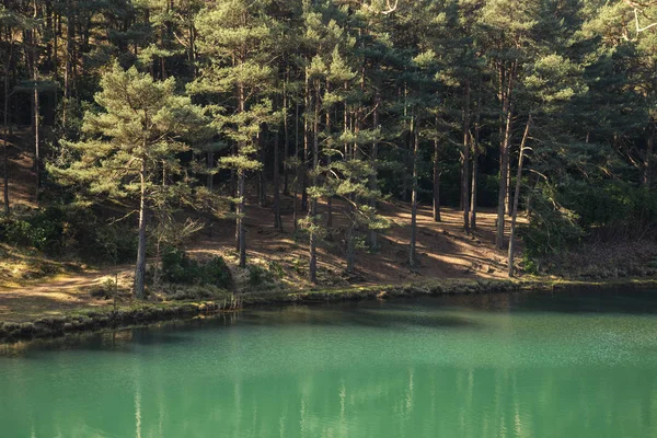 Piękny, żywy krajobraz starego obrazu clay pit kamieniołom jezioro wi — Zdjęcie stockowe