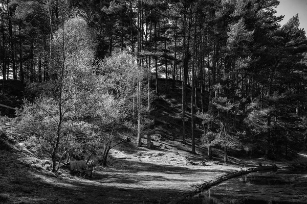 Beautiful landscape image of old bench lakeside to old clay pit — Stock Photo, Image