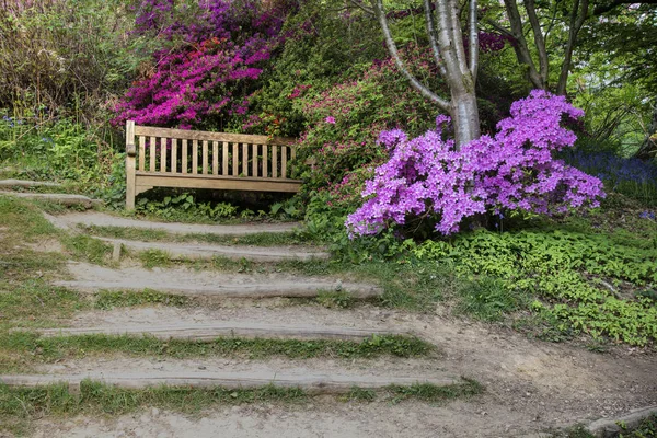 Bella immagine del paesaggio vibrante di confine sentiero da Azalea f — Foto Stock