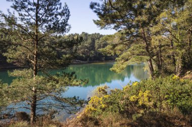 Güzel hareketli manzara resim eski kil çukur ocağı Gölü wi