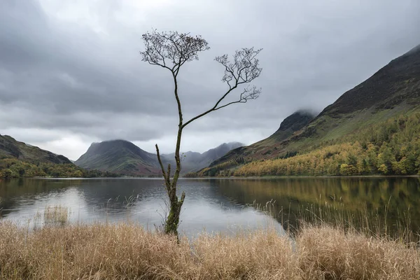 Stuning alá őszi táj képe tó Buttermere d-tó — Stock Fotó