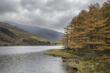 Stuning sonbahar sonbahar manzara görüntüsünü Lake Buttermere Gölü d