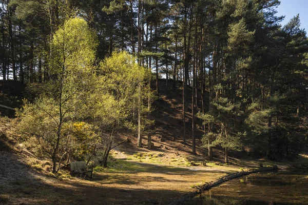 Hermosa imagen vibrante paisaje de banco viejo lago a la antigua c —  Fotos de Stock