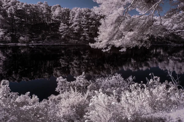 Beautiful false color surreal infrared landscape image of lake a — Stock Photo, Image