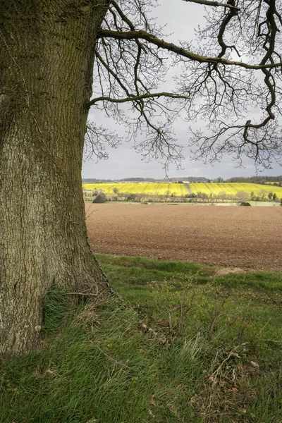 Hermoso paisaje rural inglés agrícola durante earl — Foto de Stock