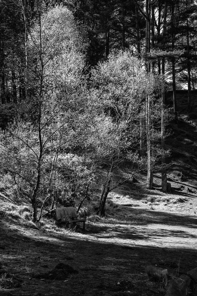 Beautiful landscape image of old bench lakeside to old clay pit — Stock Photo, Image