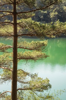 Güzel hareketli manzara resim eski kil çukur ocağı Gölü wi
