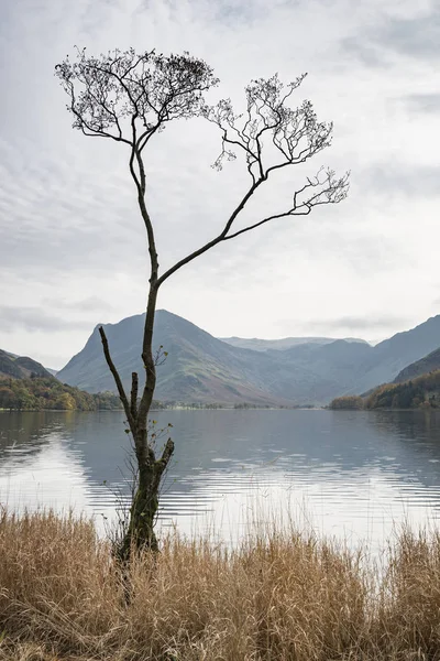 Wosk podzim podzim krajiny obraz z jezera Buttermere v jezeře D — Stock fotografie