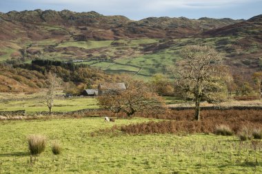 Çarpıcı turizm manzara resmini Göller Bölgesi sonbahar sırasında 