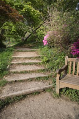 Patika İngilizce wo aracılığıyla güzel canlı manzara görüntüsü
