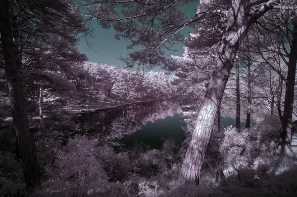 Belle image de paysage infrarouge surréaliste fausse couleur du lac a — Photo