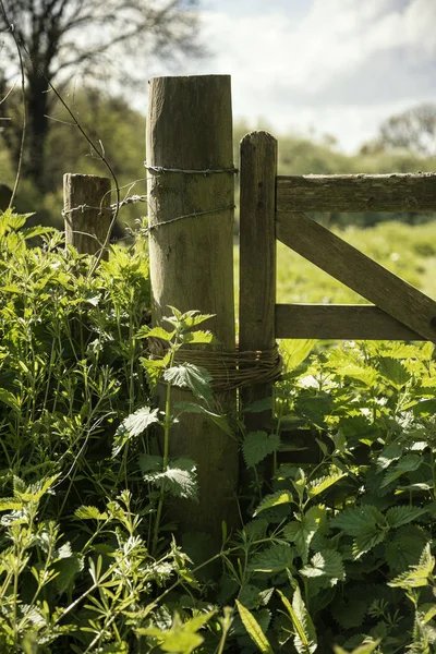 Hermoso paisaje campestre inglés vibrante en idílico soleado — Foto de Stock