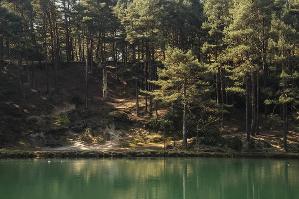 美しい鮮やかな風景画像の古い粘土ピット採石場湖 wi — ストック写真
