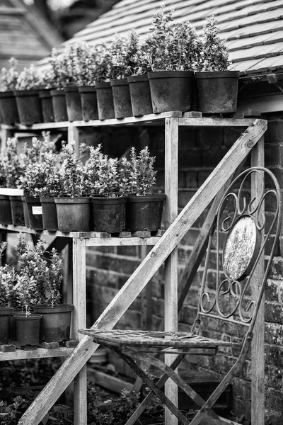 Beautiful old vintage potting shed exterior detail in English co — Stock Photo, Image