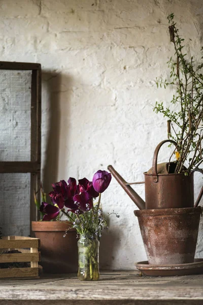 Lindo velho vintage Inglês campo jardim vaso galpão em — Fotografia de Stock