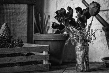 Güzel eski vintage İngilizce kırsal porselen döken bahçe içinde