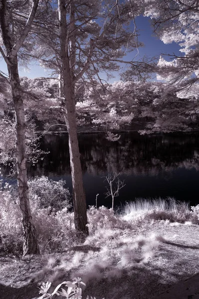Bella immagine surreale paesaggio a infrarossi colore falso del lago a — Foto Stock