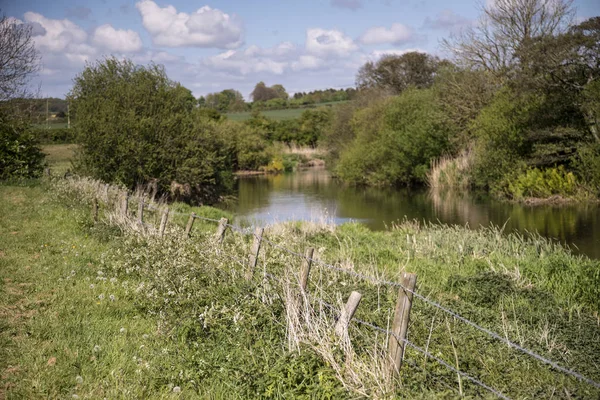 Beautiful vibrant English countryside river landscape with shall — Stock Photo, Image