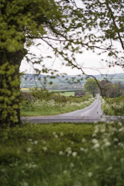 漂亮的英国乡下横向视图通过树木 fi — 图库照片
