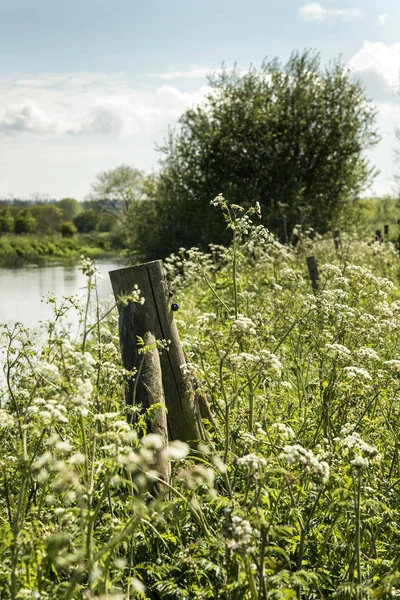 Bellissimo paesaggio vibrante della campagna inglese in idilliaco sole — Foto Stock