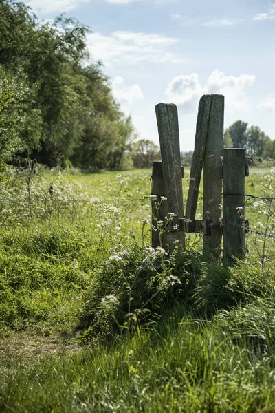 Krajobraz piękne żywe angielskiej wsi z płytkich dep — Zdjęcie stockowe