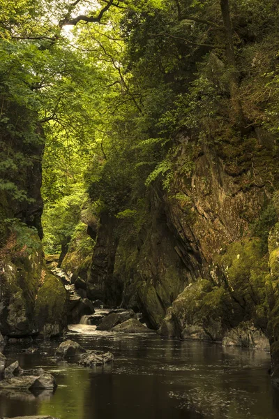 Stunning ethereal landscape of deep sided gorge with rock walls — Stock Photo, Image