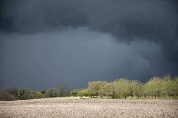 Schöne landwirtschaftliche englische Landschaft während der Grafschaft — Stockfoto