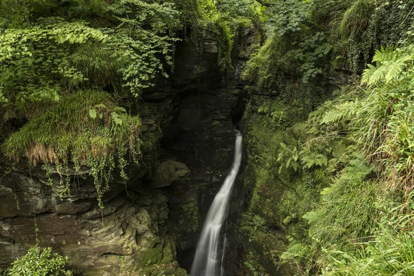 Hermosa cascada que fluye con sensación mágica de cuento de hadas en exuberante — Foto de Stock
